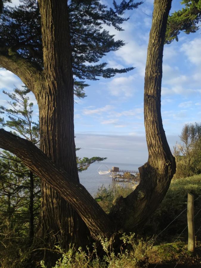 Hotel Particulier Le Rocher Des Marais "Proximite Plage & Vue Mer Pour Certains Hebergements" ปอร์นิก ภายนอก รูปภาพ